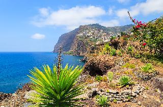 Madeira - vrt Atlantika, 8 dni