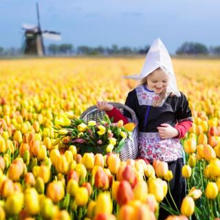 Nizozemska v znamenju cvetja - 5 dni, bus/avio
